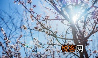 傲寒什么意思 傲寒这个词是什么意思