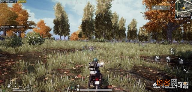 有玩家认为刺激战场游戏开启2K后的画质,是同类手游中的第一,可以当壁纸,你怎么看？