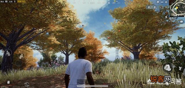 有玩家认为刺激战场游戏开启2K后的画质,是同类手游中的第一,可以当壁纸,你怎么看？