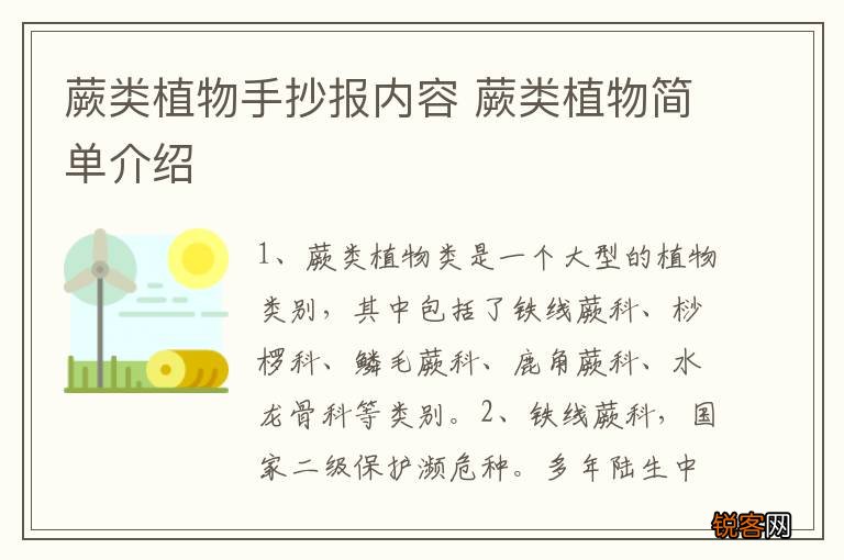 蕨类植物手抄报内容 蕨类植物简单介绍