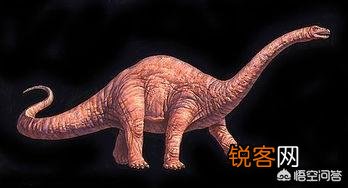 恐龙曾经是地球的霸主,那么恐龙的寿命是多少年？