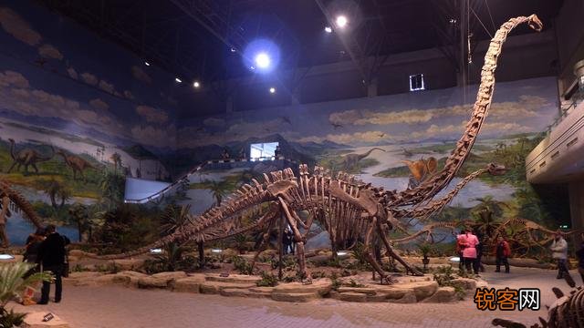 恐龙曾经是地球的霸主,那么恐龙的寿命是多少年？