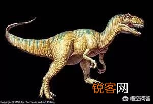 哪种恐龙战斗力最强？