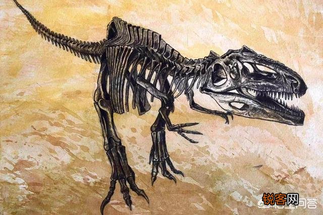 哪种恐龙战斗力最强？