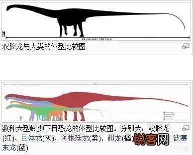 最大的恐龙是什么龙？