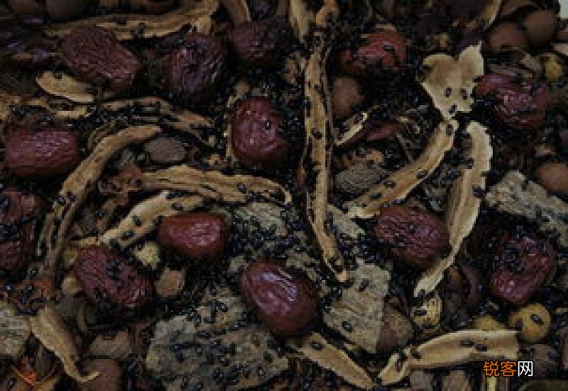 九龙虫的吃法一天一般吃几个 九龙虫怎么吃最好