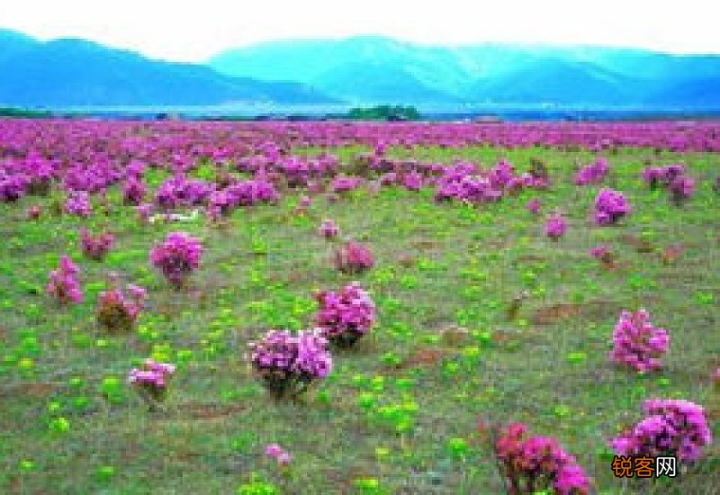 季冬时节什么意思