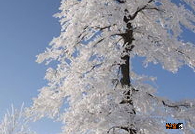 大雪节气哪里下雪了