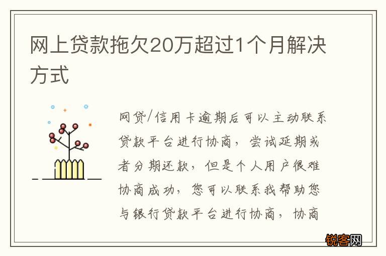 网上贷款拖欠20万超过1个月解决方式