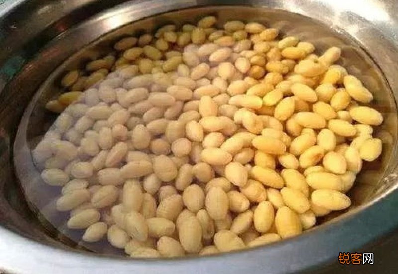 黄豆泡发多久合适