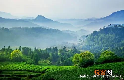 古诗《春晓》写的是什么？