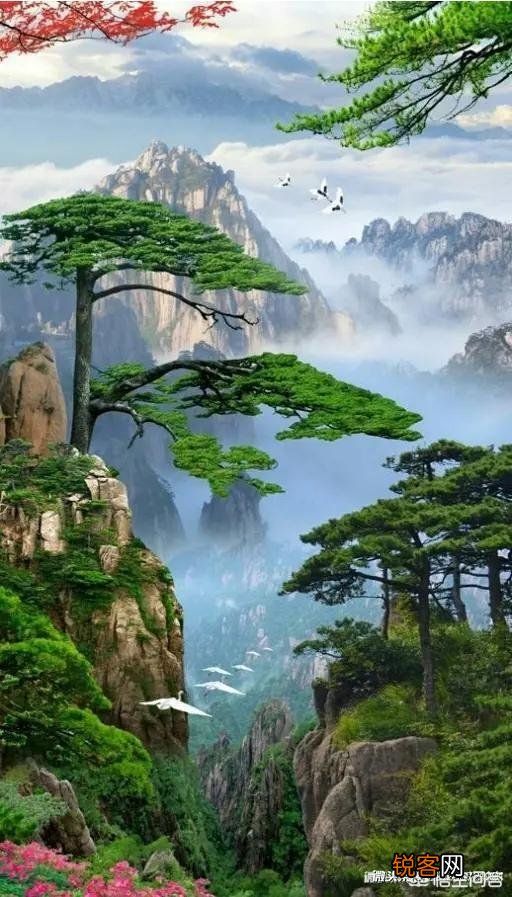 唐诗《春晓》在描写景物上的特点是什么？