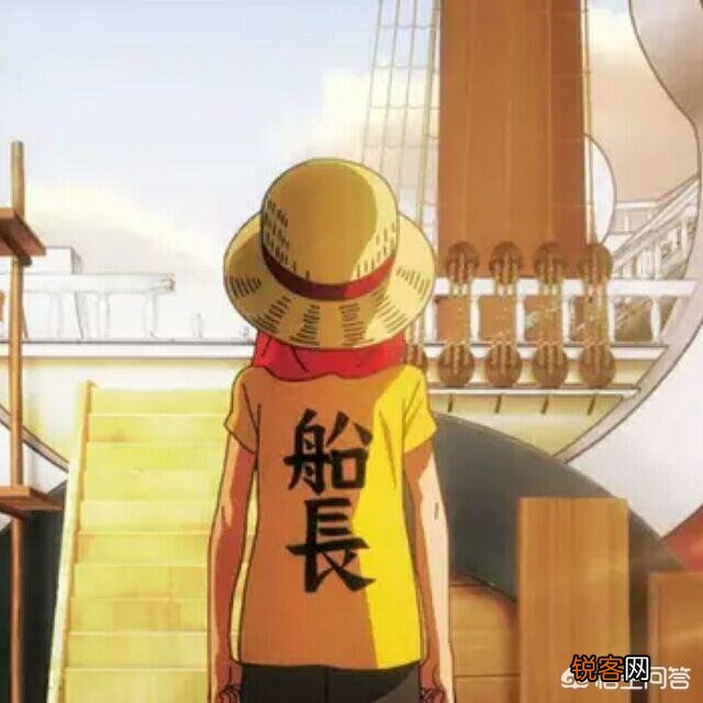 海贼王只有一个,那海贼团中非船长的人上船是为了什么？