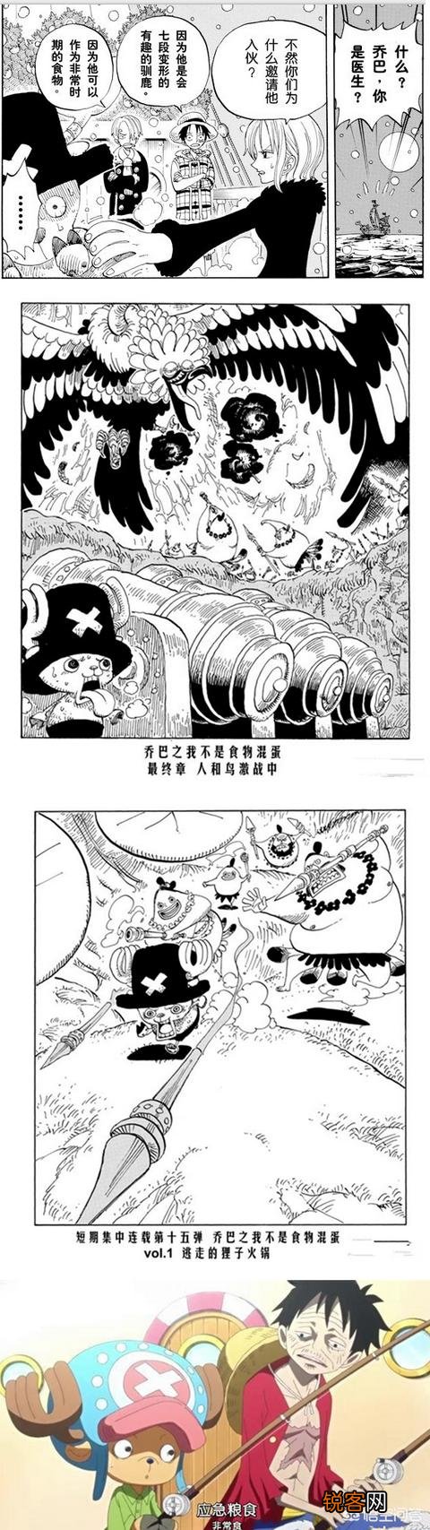 有哪些海贼迷才懂的梗？