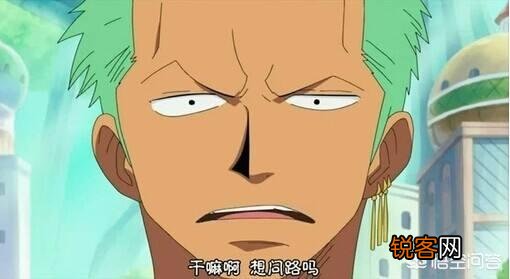 有哪些海贼迷才懂的梗？
