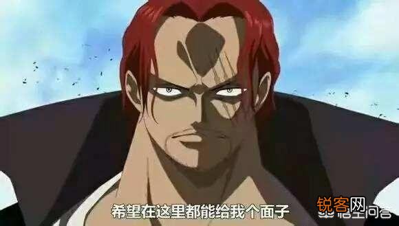 有哪些海贼迷才懂的梗?