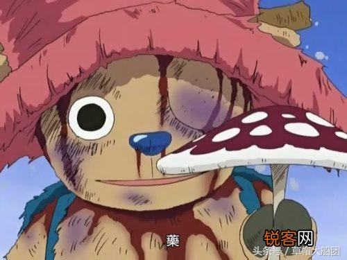 海贼王有哪些经典语录？