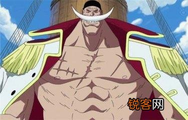 海贼王有哪些经典语录？
