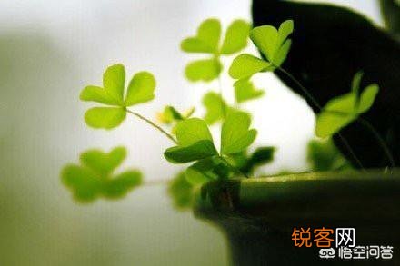 测试报告如何编写？