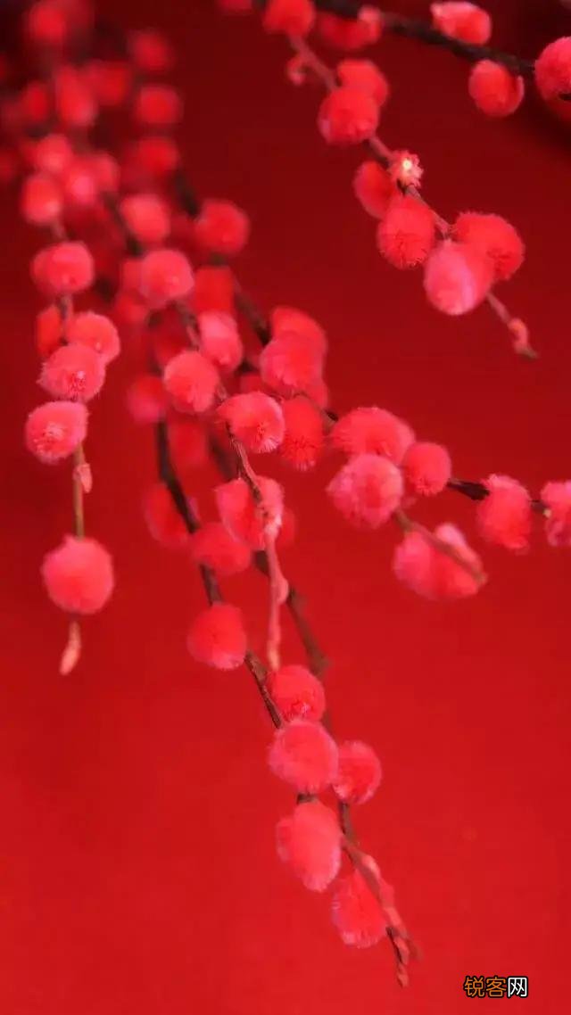 为什么中国人喜欢红色？红色代表什么？