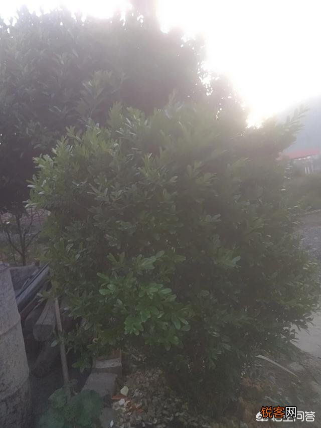 请大家讲一些短篇细思极恐的鬼故事？