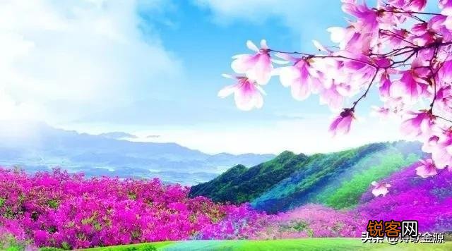 《念奴娇·赤壁怀古》、《桂枝香·金陵怀古》和《永遇乐·京口北固亭怀古》三篇宋词怀古之作如何赏析？