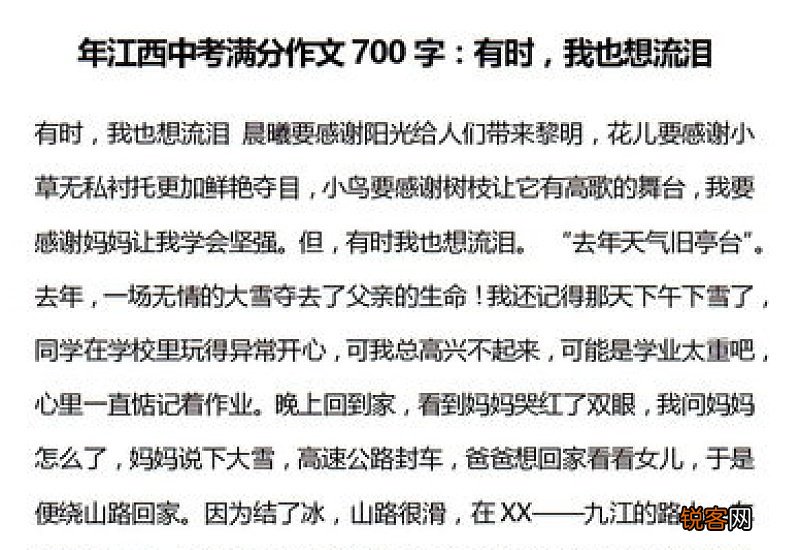 中考高分作文700字