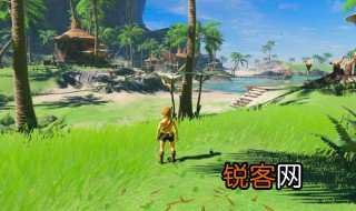 荒野之息讲的什么 荒野之息的主要内容