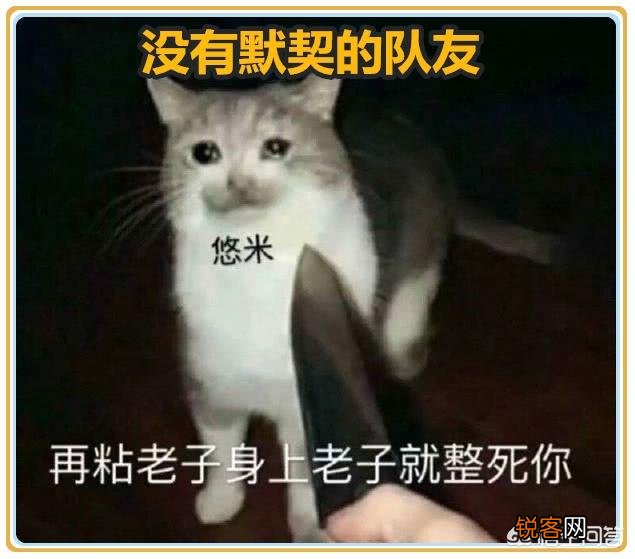 LOL最近EZ喵咪肉坦流很火,有具体的玩法攻略吗？