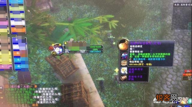 魔兽世界怀旧服ZUG老虎2W金币起拍,“最强土豪”33W金收入囊中,老虎坐骑为何这么贵？