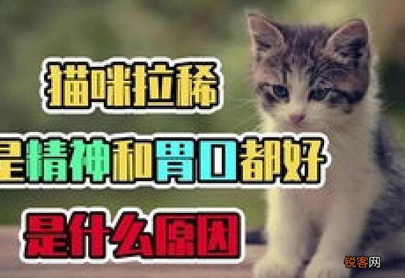 猫拉稀呕吐是怎么回事