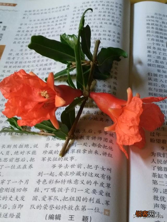 农村接电线邻家不让走怎么办？