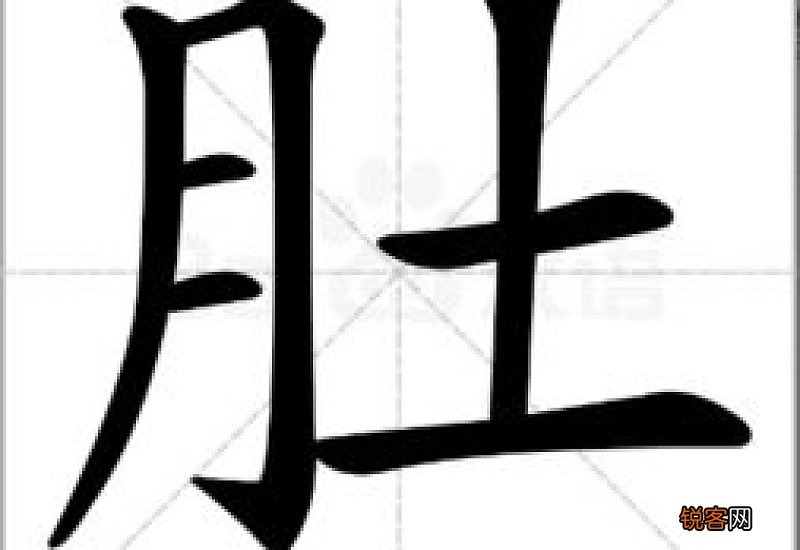 肚组词_肚的组词_肚怎么组词