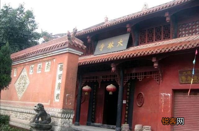 白居易《大林寺桃花》表达了诗人怎样的心情？