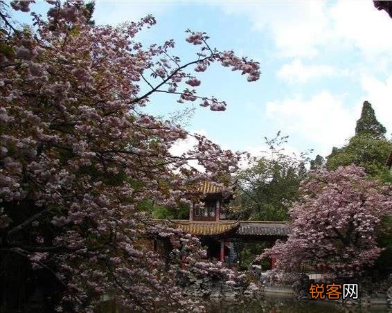 白居易《大林寺桃花》表达了诗人怎样的心情？