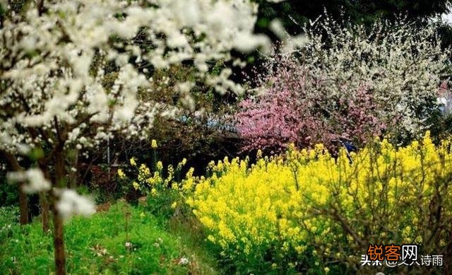 大林寺桃花古诗的意思？