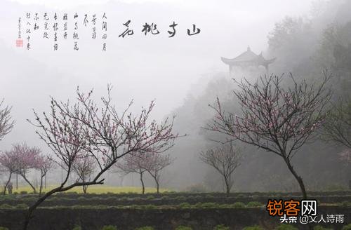 大林寺桃花古诗的意思？