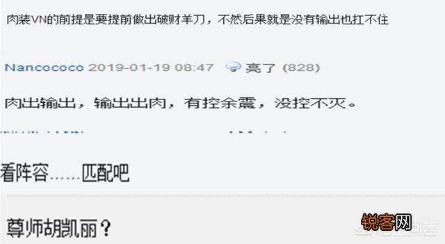 《英雄联盟》网友晒出自己VN独特的出装思路,并表示：“又肉,又能输出”,你认为呢？