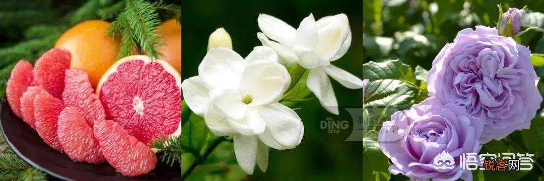 30岁的女人适合喷什么牌子香水,味道好闻,香味持久,求推荐？