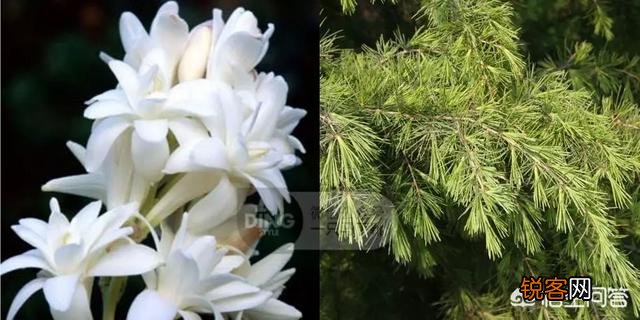 30岁的女人适合喷什么牌子香水,味道好闻,香味持久,求推荐？