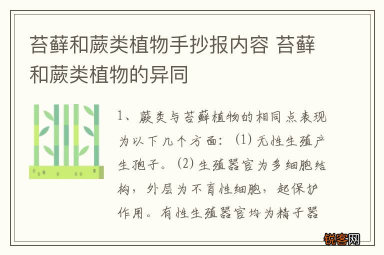 苔藓和蕨类植物手抄报内容 苔藓和蕨类植物的异同