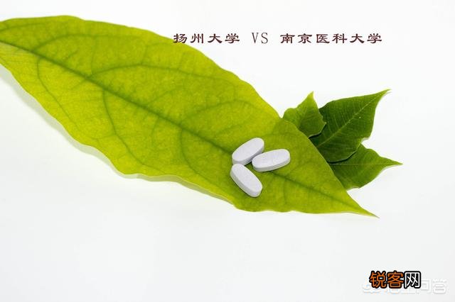 南京医科大学的药学比扬州大学药学,哪家较好？