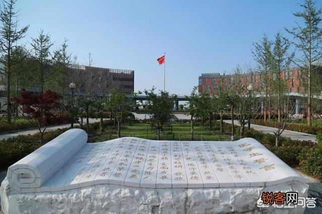 南京医科大学和天津医科大学都是高水平大学吗？谁更具有优势？