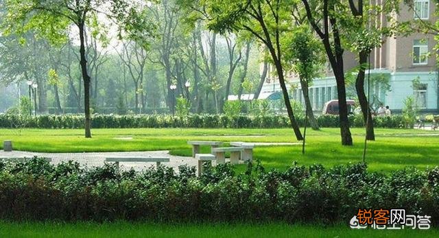 南京医科大学和天津医科大学都是高水平大学吗？谁更具有优势？