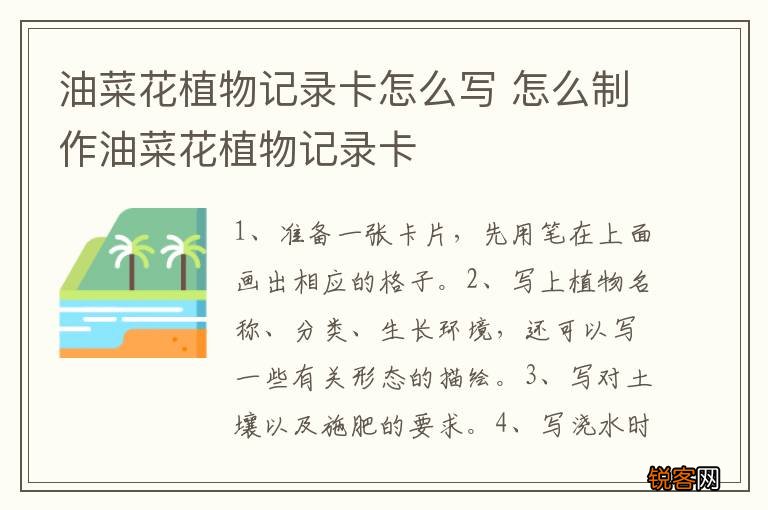 油菜花植物记录卡怎么写 怎么制作油菜花植物记录卡