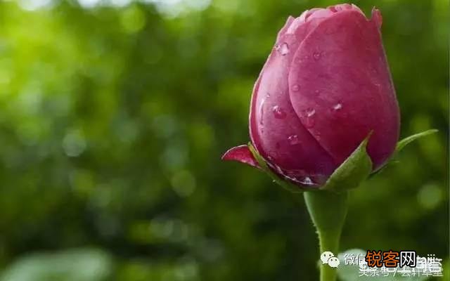 人到中年,除了抽烟喝酒钓鱼,你还有什么爱好？