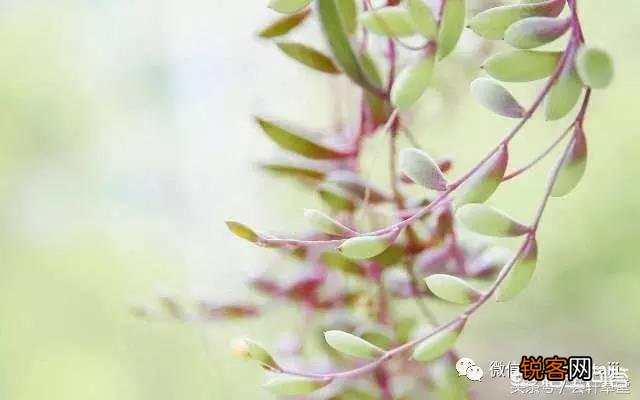 人到中年,除了抽烟喝酒钓鱼,你还有什么爱好？