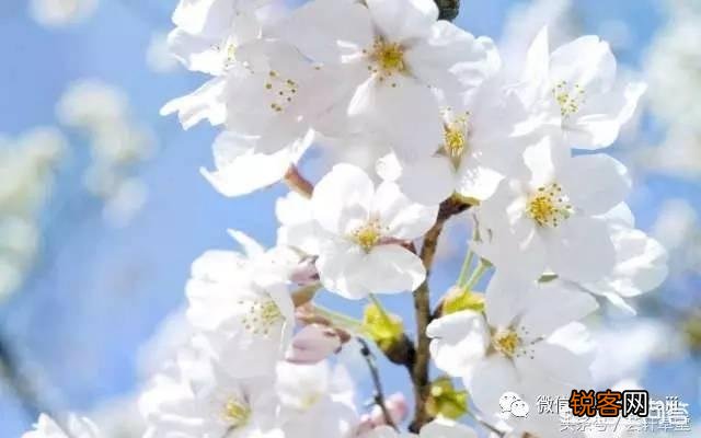 人到中年,除了抽烟喝酒钓鱼,你还有什么爱好？