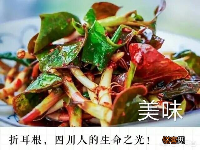 请问你的业余爱好是什么？如何用一句话概括？