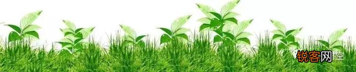 人总有三个境界？